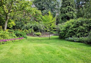 Optimiser l'expérience du jardin à Uxelles