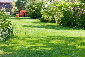 travaux jardin et paysage Uxelles